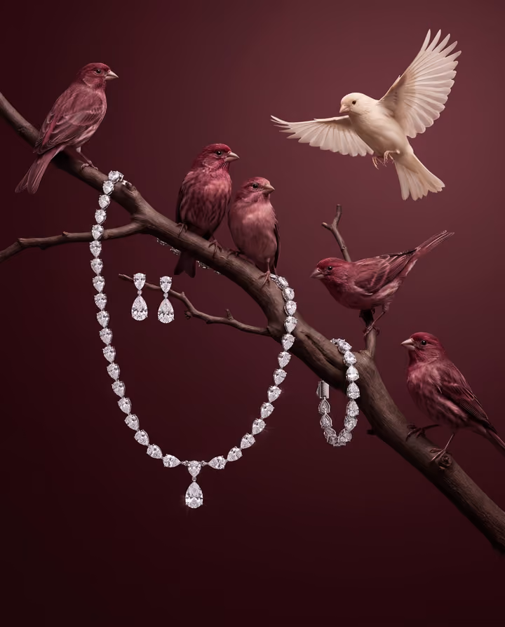 Jewelry Branch Visual