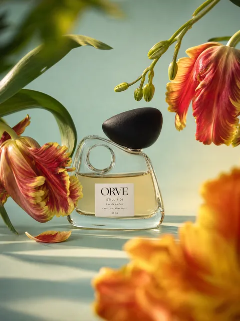 Sunlit Tulip Product Shot