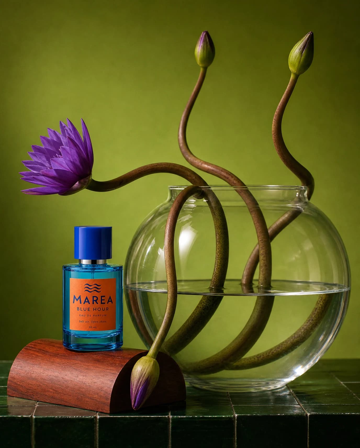 Water Lily Still Life